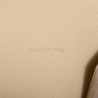Celine Calfskin All Soft Shoulder Bag Pistachio 8 of 8