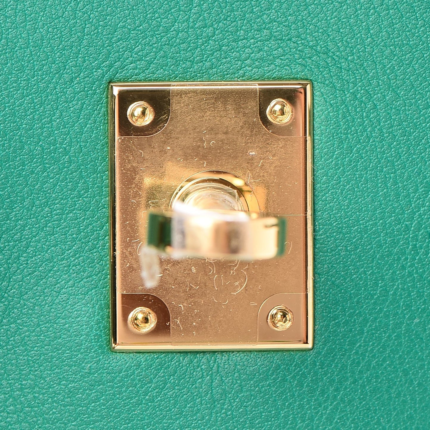 Swift Birkin 25 Vert Vertigo