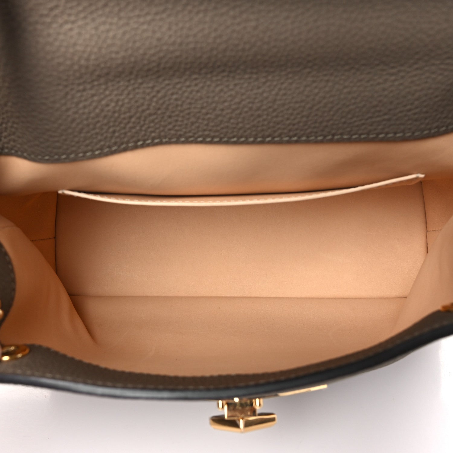 Moynat Taurillon Blush Calfskin Gabby BB Taupe 5 of 8