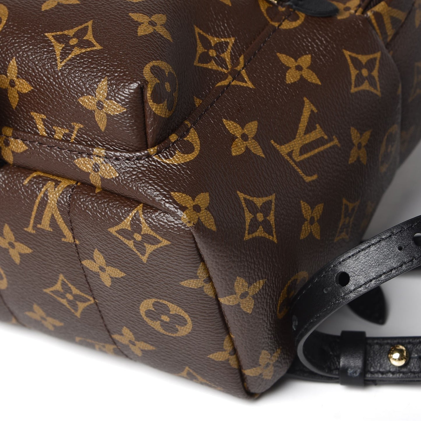 Monogram Palm Springs Backpack PM