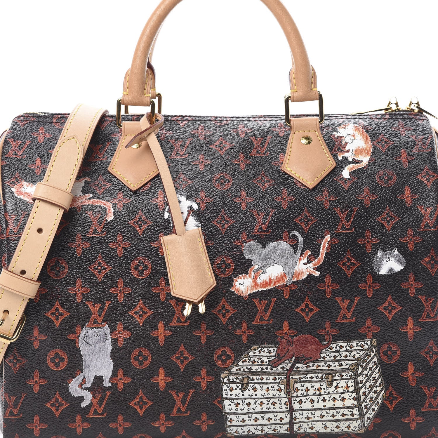 Louis Vuitton Catogram Speedy Bandouliere 30 Marron 9 of 12