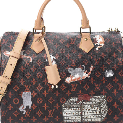 Louis Vuitton Catogram Speedy Bandouliere 30 Marron 9 of 12