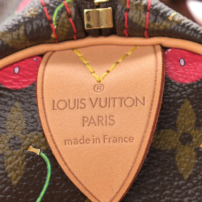 Louis Vuitton Monogram Cerises Speedy 25 6 of 9