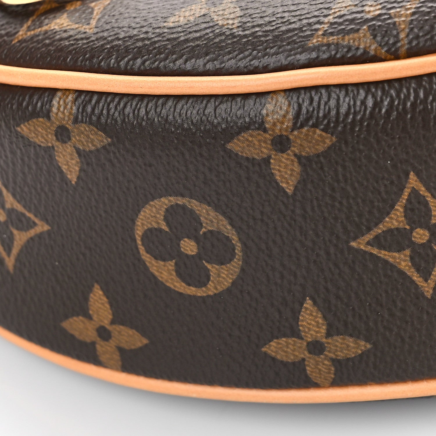 Louis Vuitton Monogram Loop 7 of 8