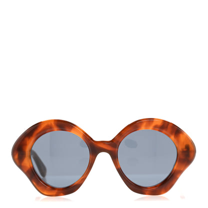 Loewe Acetate Curvy Cat Eye Sunglasses LW40125U Light Havana 2 of 7