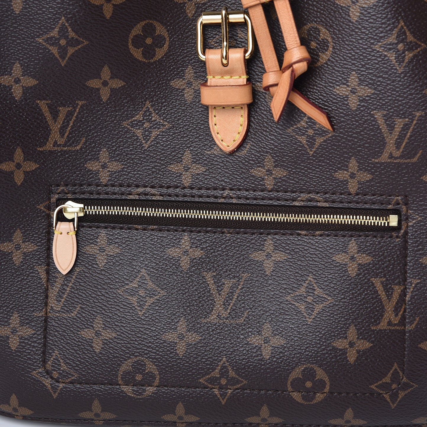 Monogram Montsouris NM Backpack