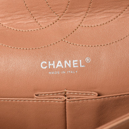 Chanel Iridescent Calfskin Quilted 2.55 Reissue 227 Flap Beige 7 of 25