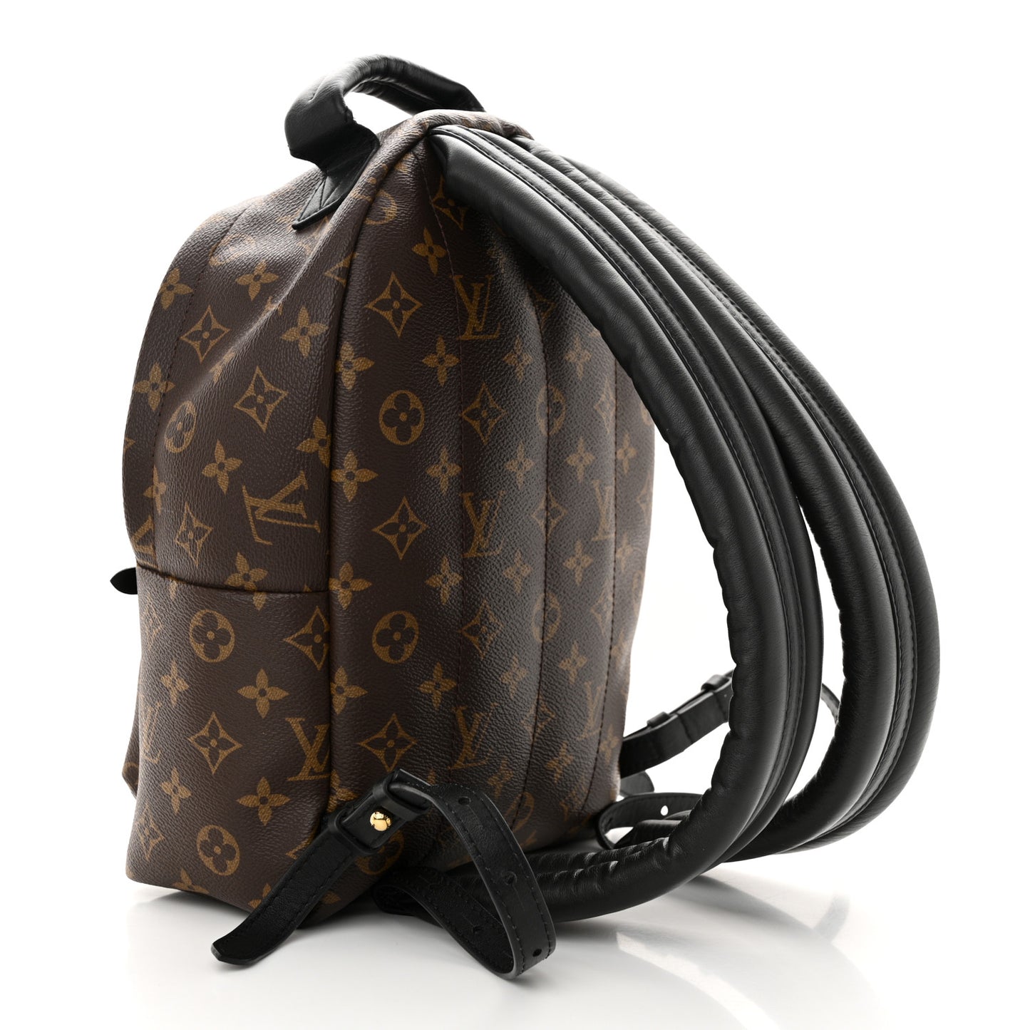 Monogram Palm Springs Backpack PM