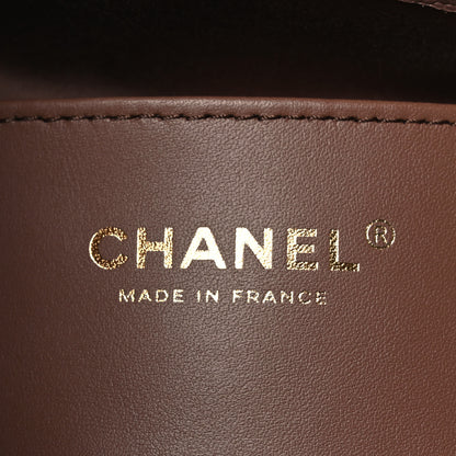 Chanel Caviar Quilted Small Chanel 25 Handbag Brown 6 of 11