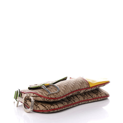 Christian Dior Monogram Rasta Double Saddle Beige 3 of 8