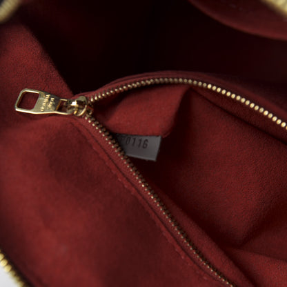 Louis Vuitton Damier Ebene Mews 9 of 11