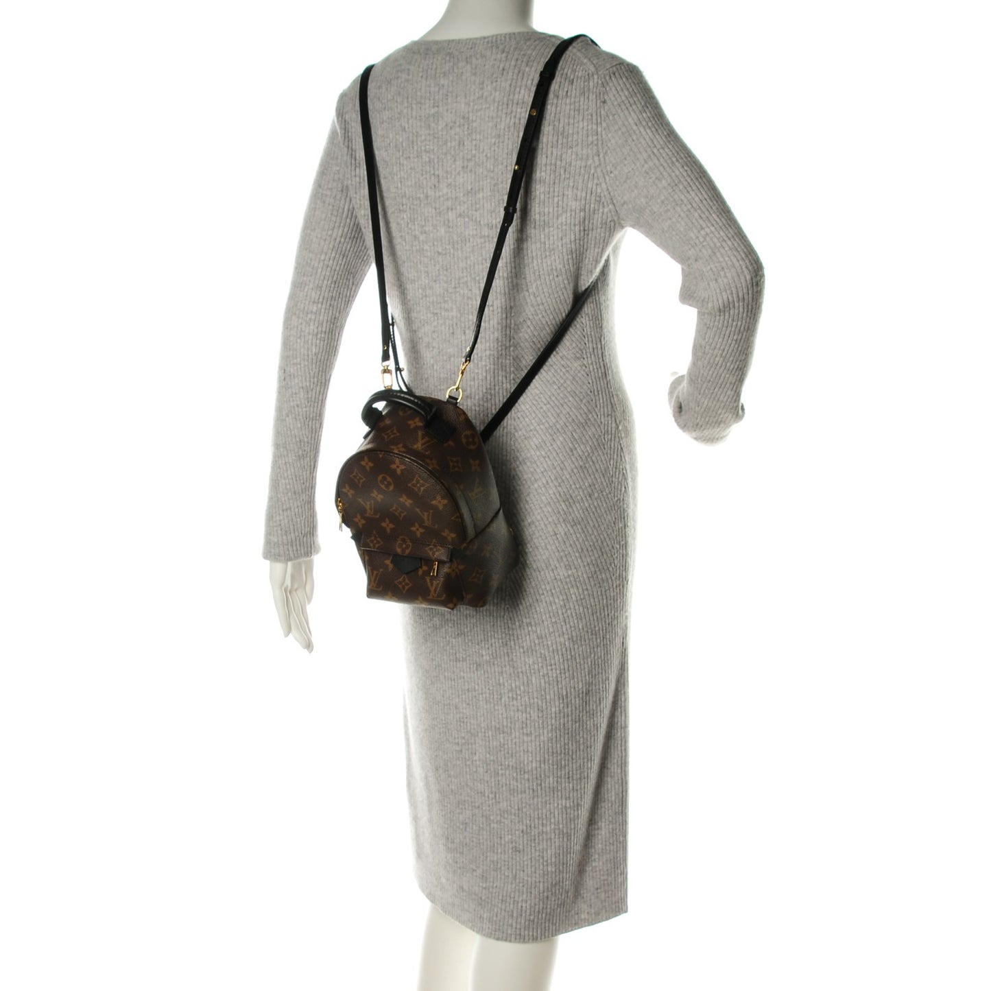 Monogram Palm Springs Backpack Mini
