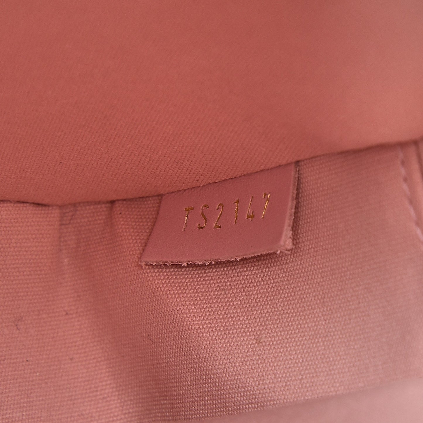 Vernis Camera Pouch Rose Ballerine