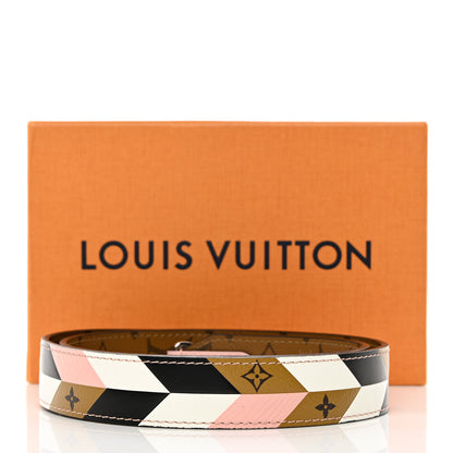Louis Vuitton Epi Reverse Monogram Bandouliere Shoulder Strap XL Multicolor 10 of 10