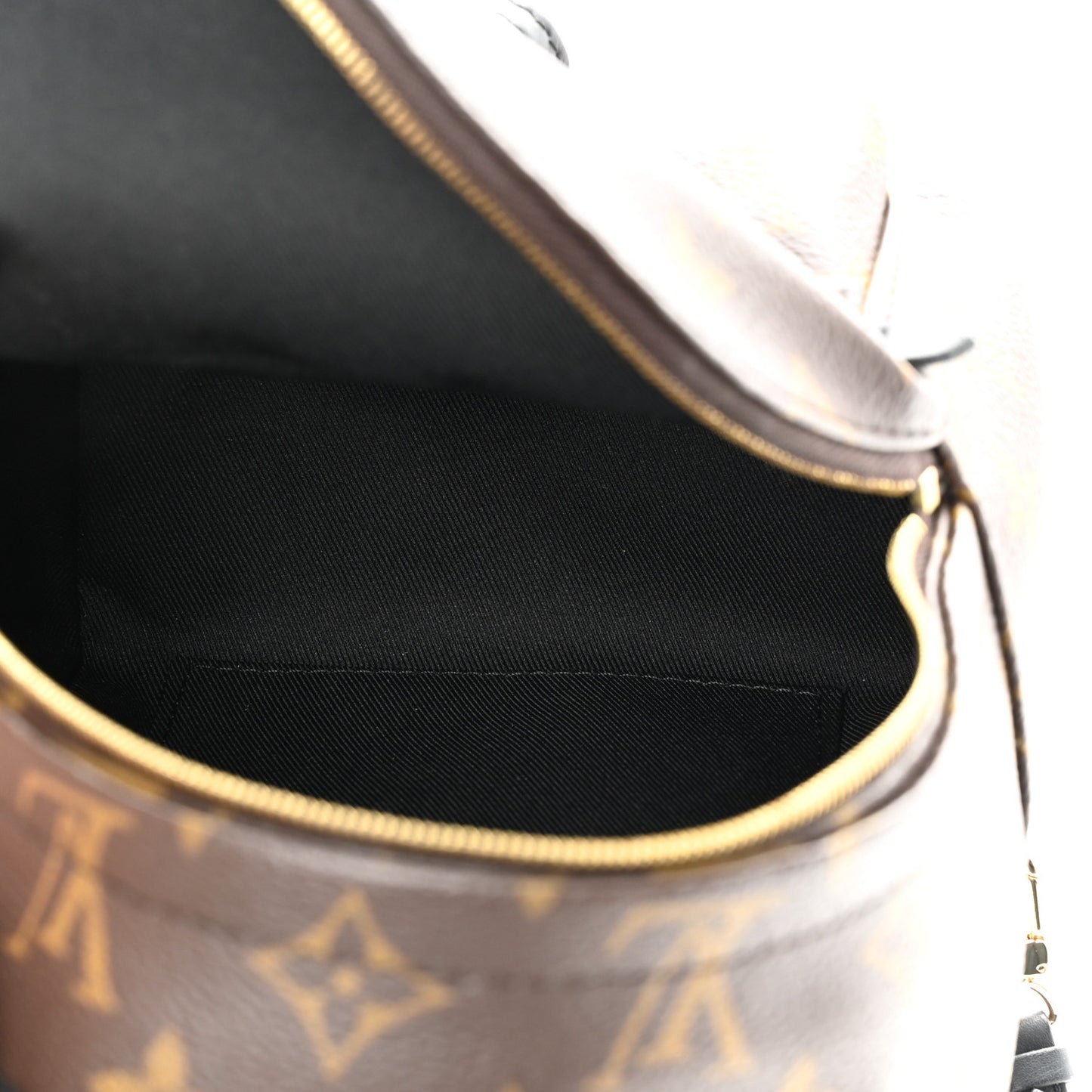 Monogram Palm Springs Backpack Mini