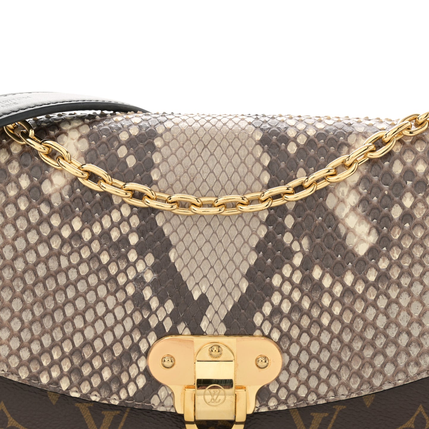 Monogram Snakeskin Saint Placide