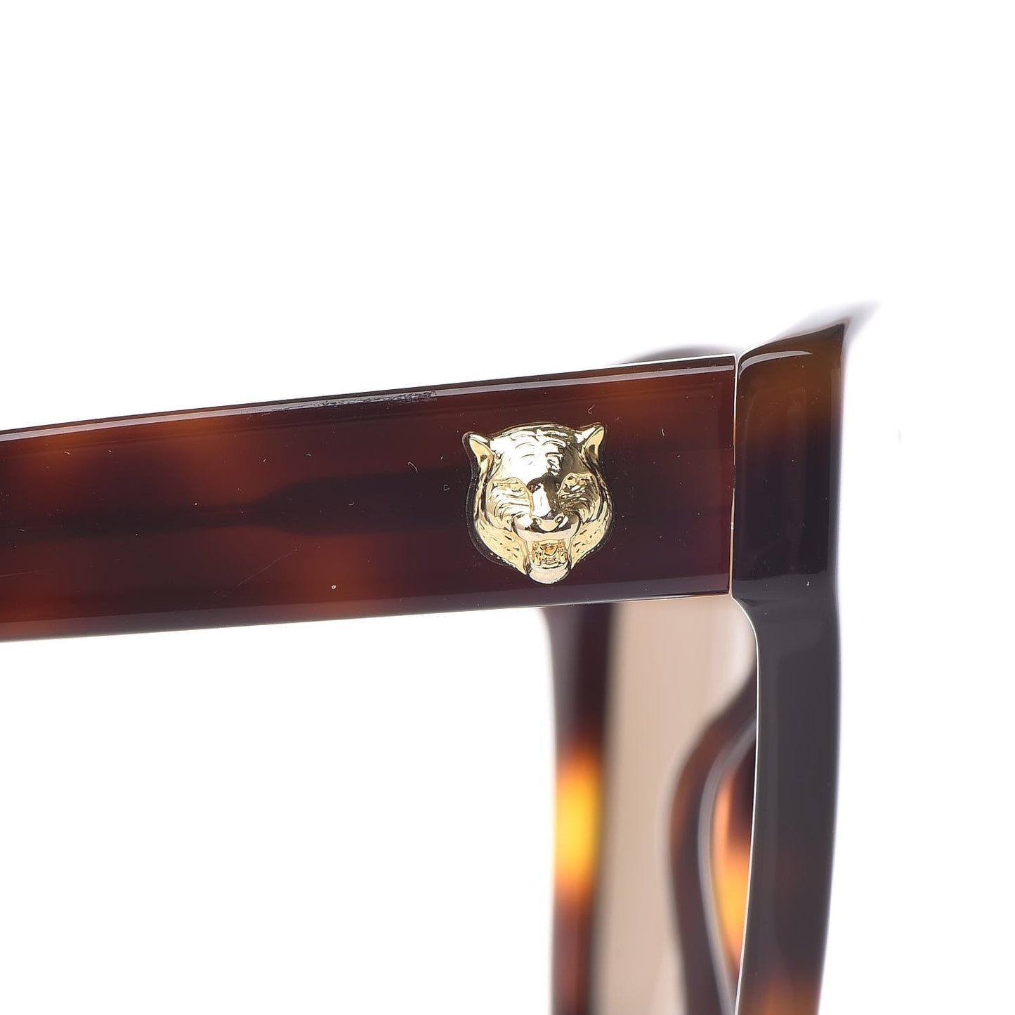 Acetate Square Frame Sunglasses GG0029S Tortoise