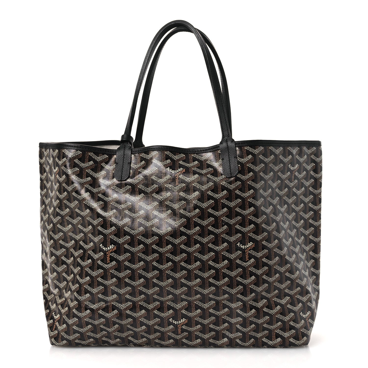 Goyard Goyardine Saint Louis PM Black 1 of 10
