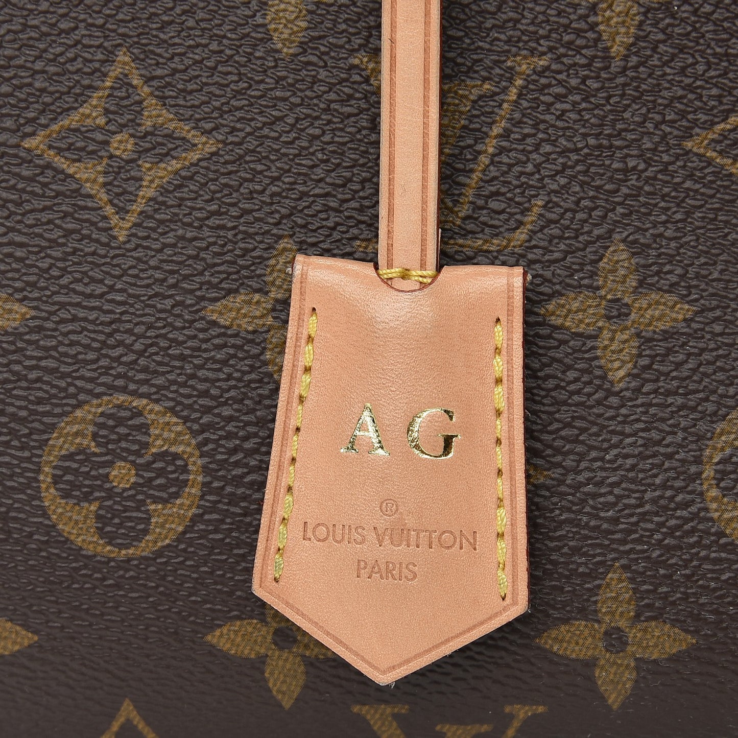 Monogram Cluny MM Bordeaux Navy