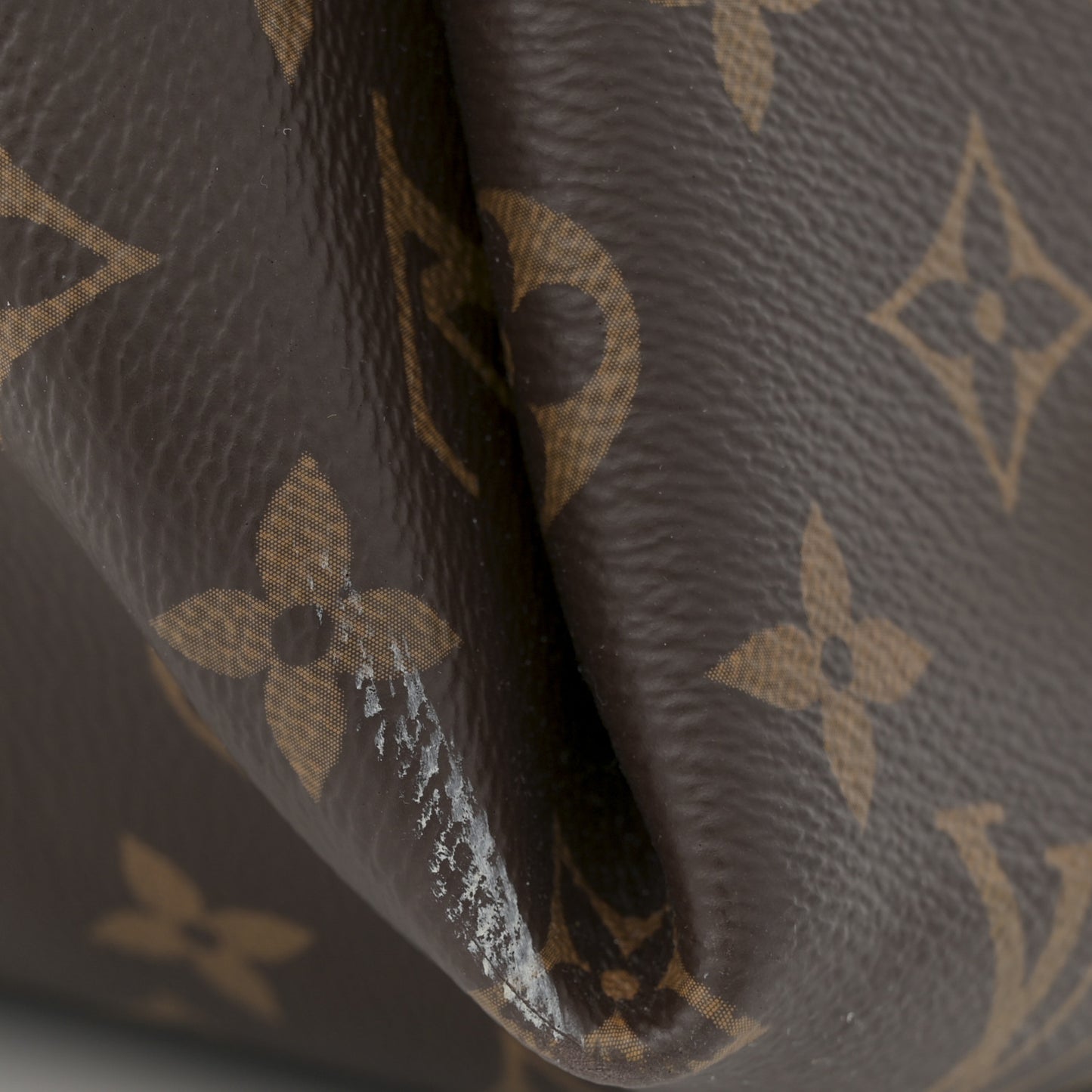 Monogram Carryall MM