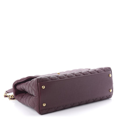 Chanel Caviar Lizard Quilted Medium Coco Handle Flap Burgundy 4 of 11
