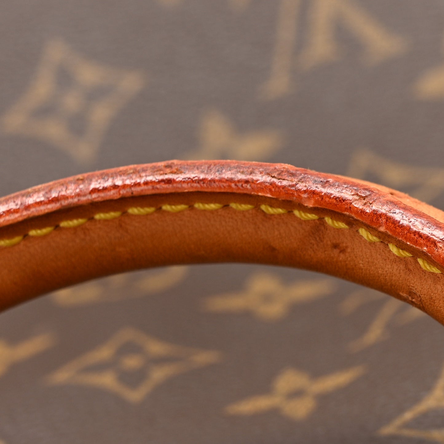 Monogram Garment Cover