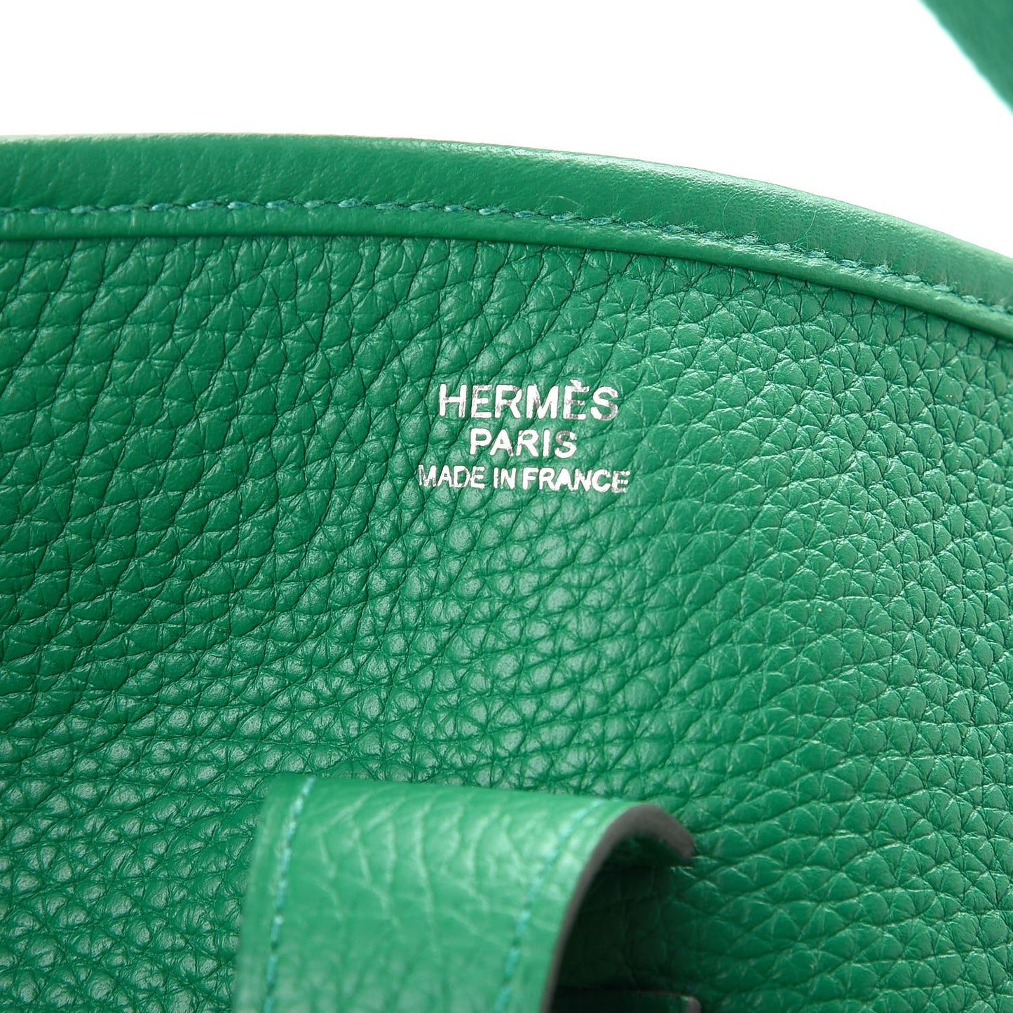 Taurillon Clemence Evelyne III GM Vert Vertigo