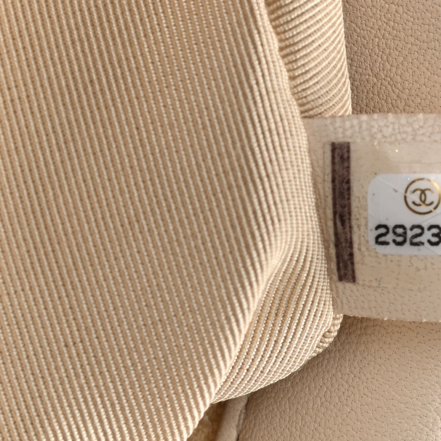 Lambskin Quilted Medium Chanel 19 Flap Light Beige