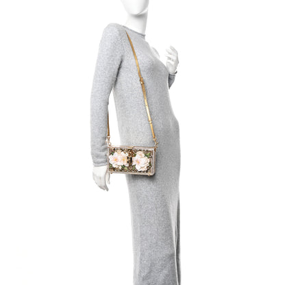 Dolce & Gabbana Metallic Plexiglass Crystal Embellished Shoulder Bag Gold 2 of 15