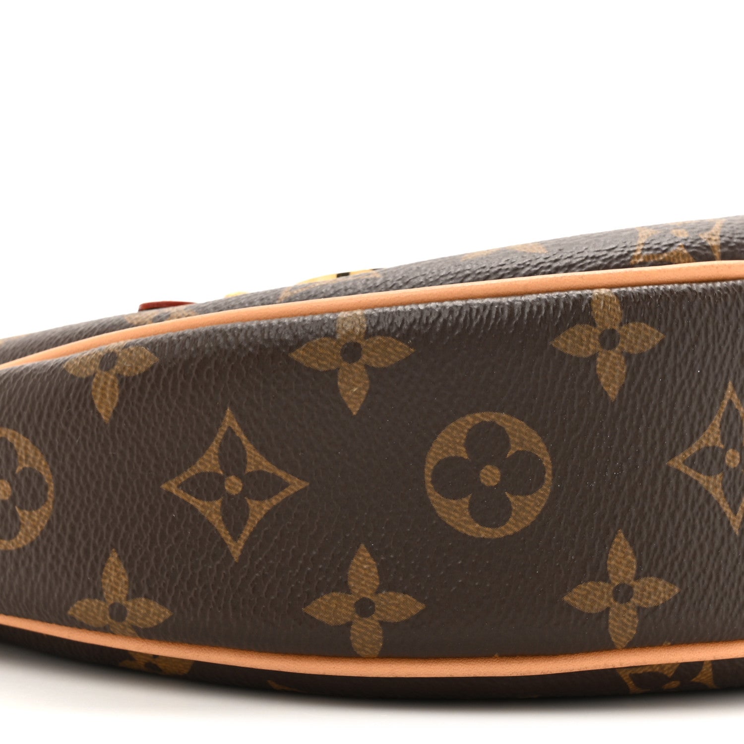 Louis Vuitton Monogram Loop 9 of 11