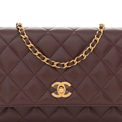 Chanel Lambskin Quilted CC Pearl Crush Wallet on Chain WOC Dark Brown 8 of 11
