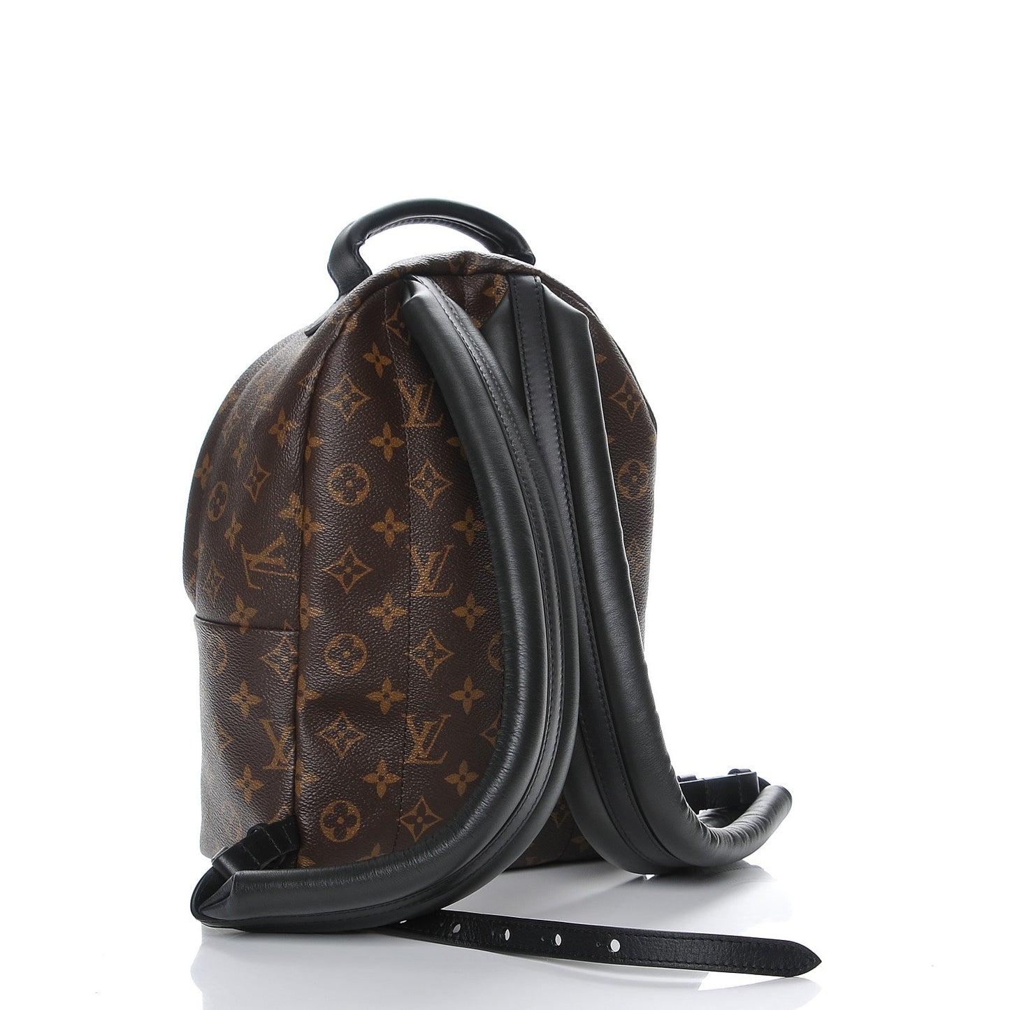 Monogram Palm Springs Backpack PM