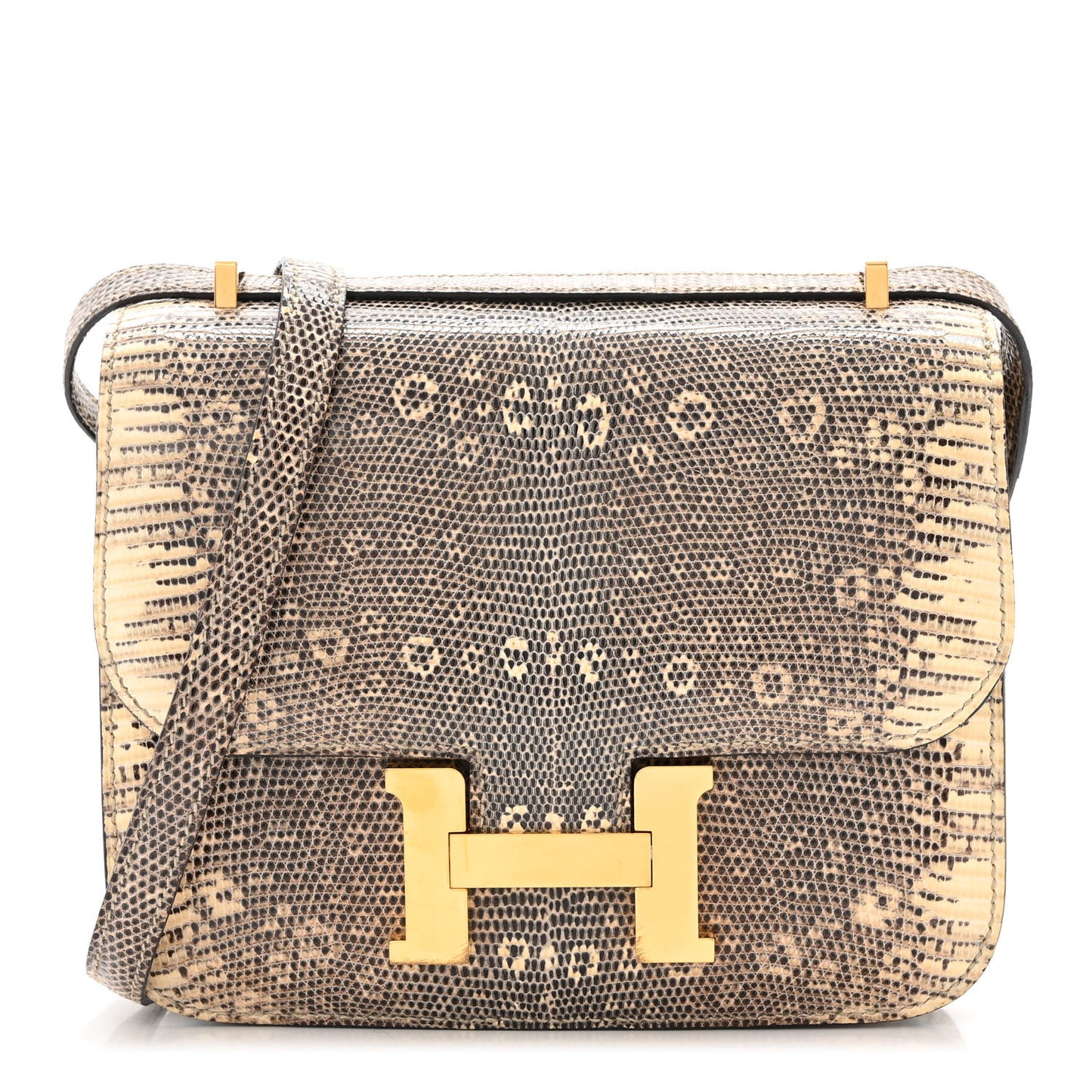 Lizard Constance 18 Ombre