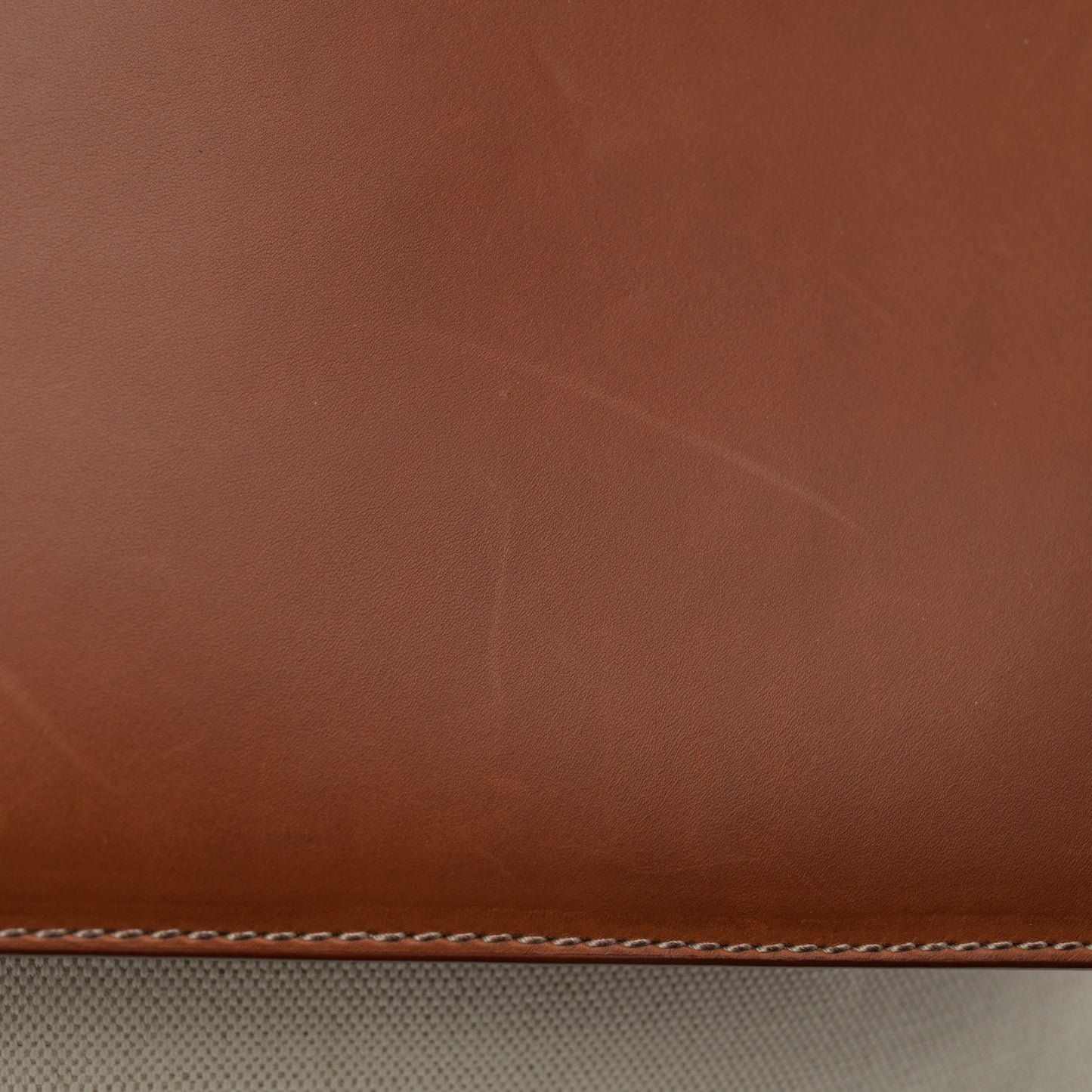 Washed Canvas Calfskin Large Andiamo Backpack Natural Light Wood