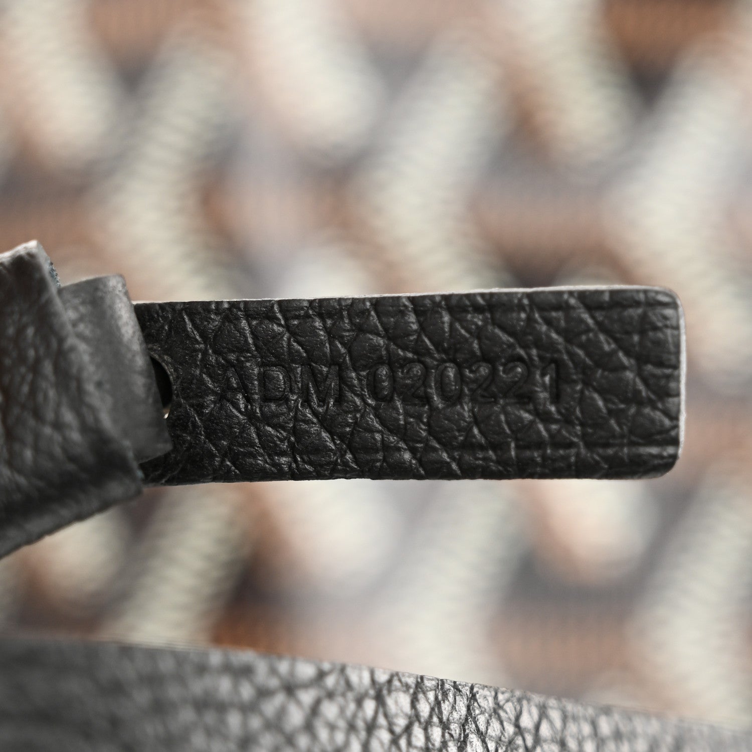 Goyard Goyardine Saint Louis PM Black 8 of 11