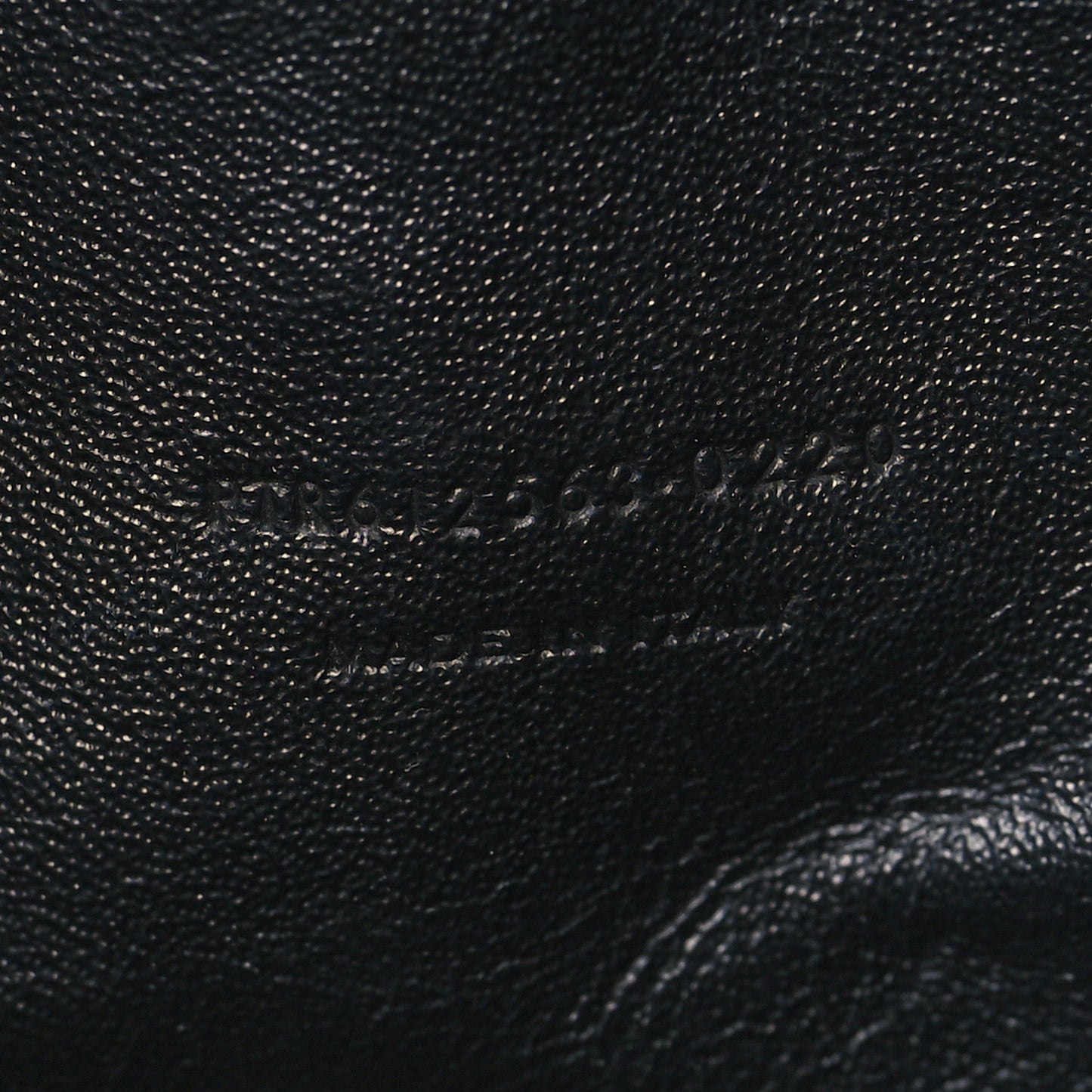 Canvas Calfskin Leopard Print Monogram Mini Lou Camera Bag Brown