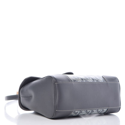 Goyard Goyardine Mini Saigon Grey 4 of 9
