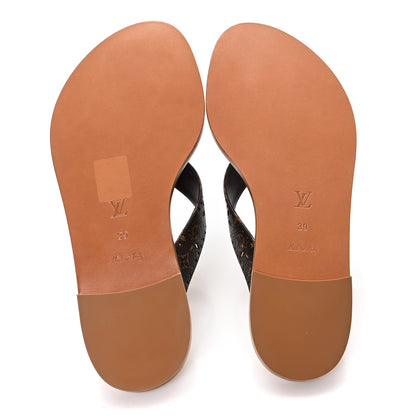 Louis Vuitton Monogram Sunny Flat Thong Sandals 39 Brown 6 of 9