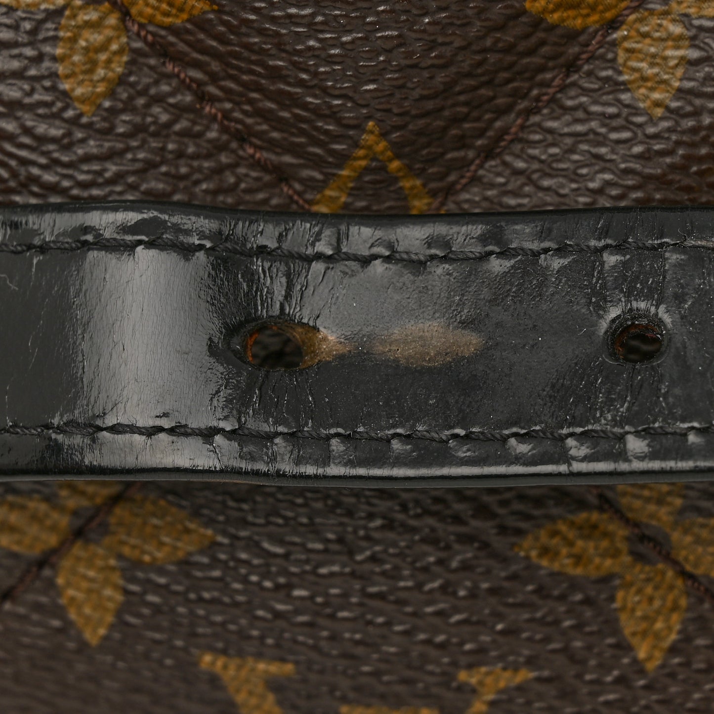 Monogram Etoile Exotique MM Bordeaux