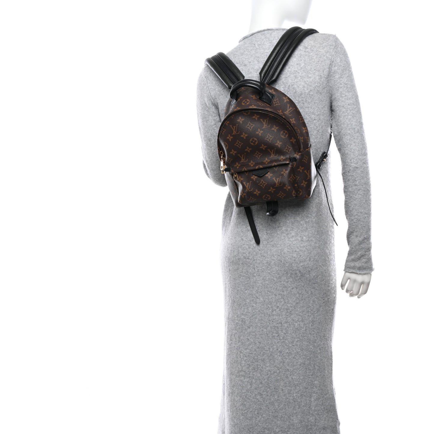 Monogram Palm Springs Backpack PM