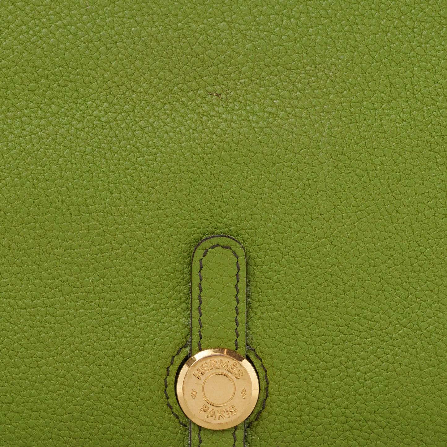 Togo Dogon Duo Wallet Vert Anis