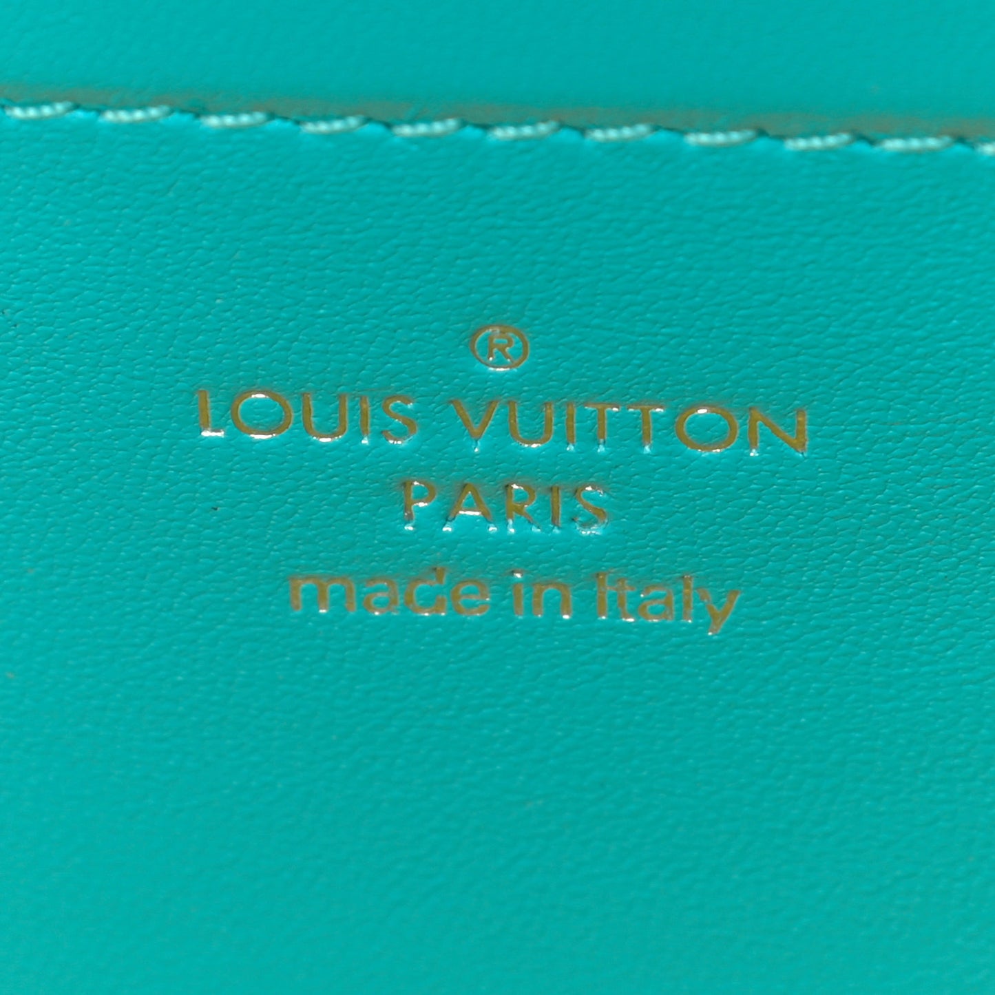 Lambskin Embossed Monogram Vuittamins Pochette Coussin Menthe Jaune