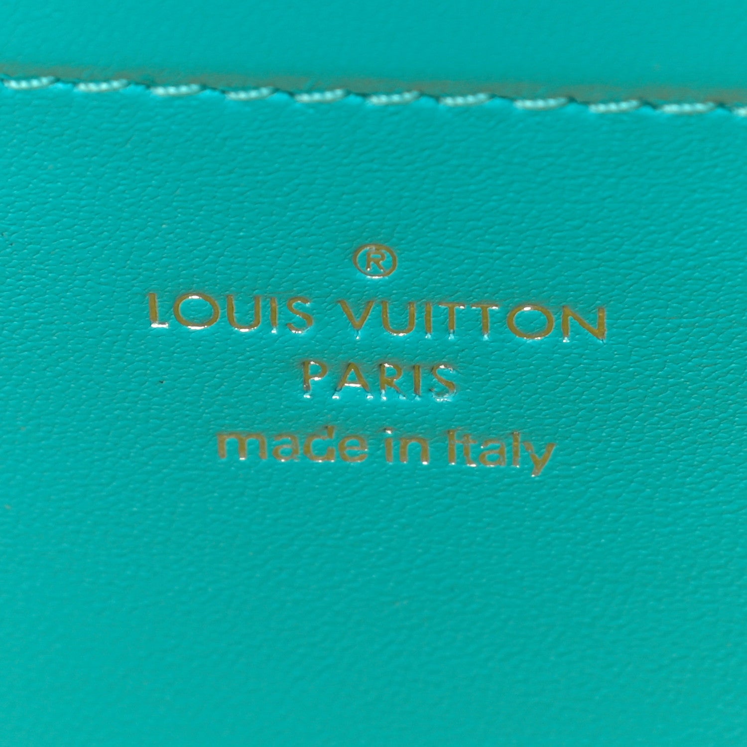 Louis Vuitton Lambskin Embossed Monogram Vuittamins Pochette Coussin Menthe Jaune 6 of 8