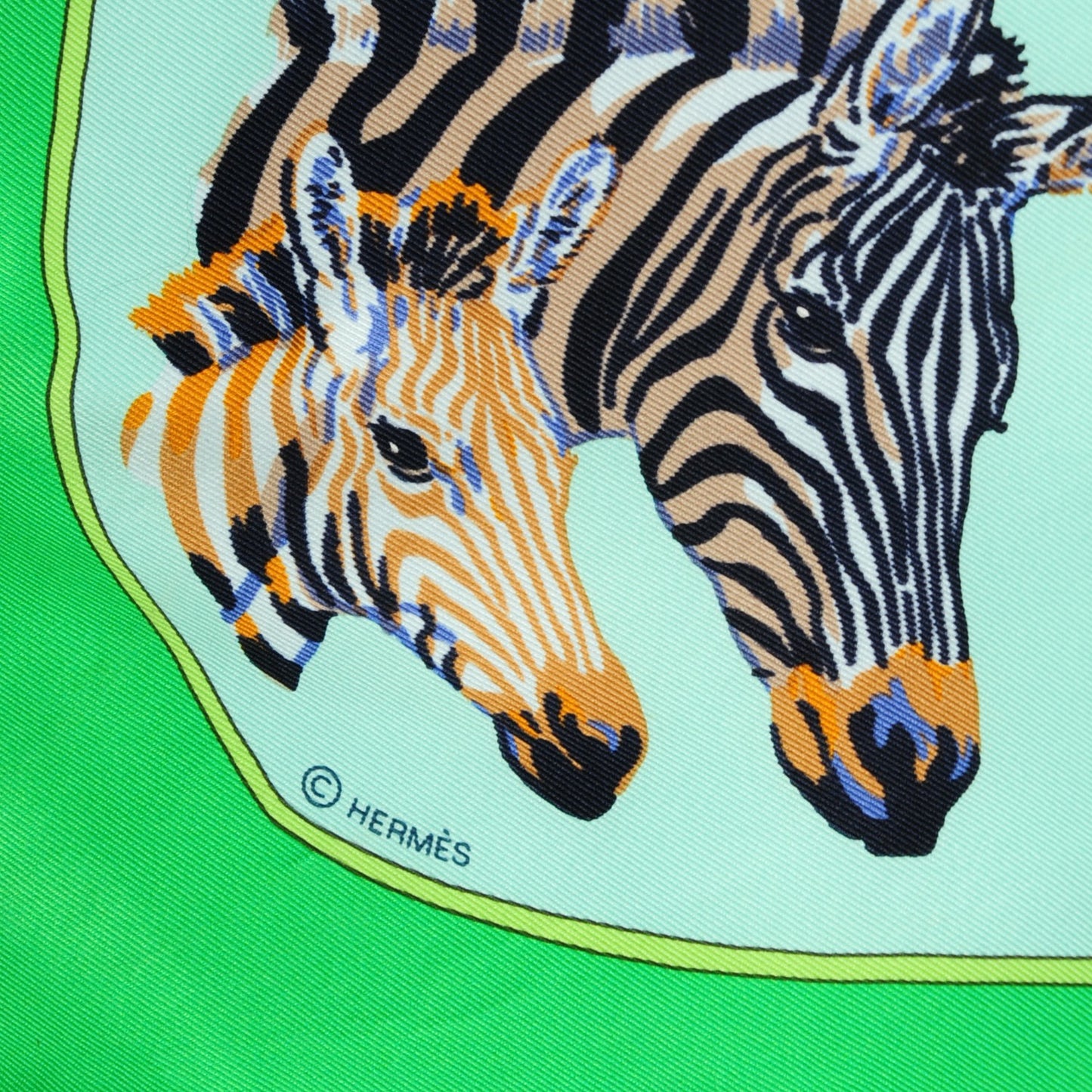 Silk Les Zebras Scarf 70 Vert Pistache Bleu