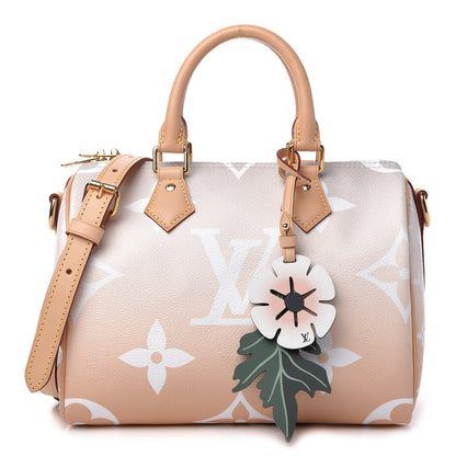 Louis Vuitton Monogram Giant By The Pool Speedy Bandouliere 25 Brume 1 of 10