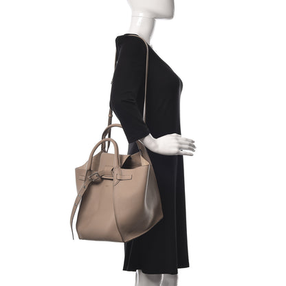 Celine Supple Grained Calfskin Small Big Bag Light Taupe 2 of 20
