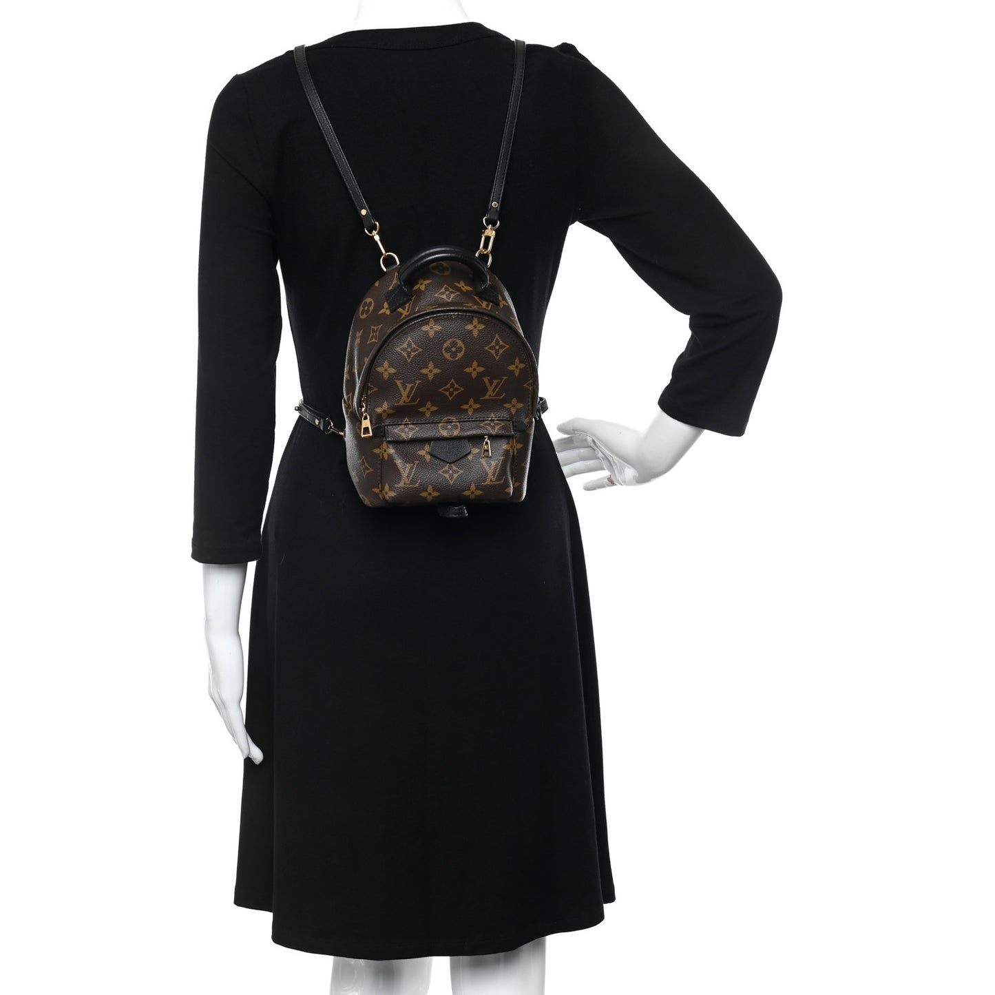 Monogram Palm Springs Backpack Mini