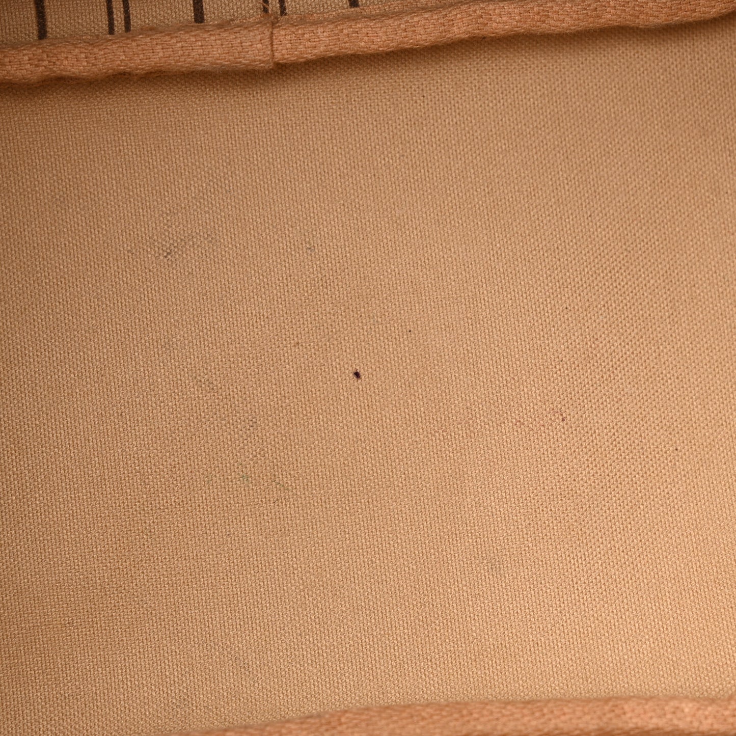 Monogram Neverfull PM