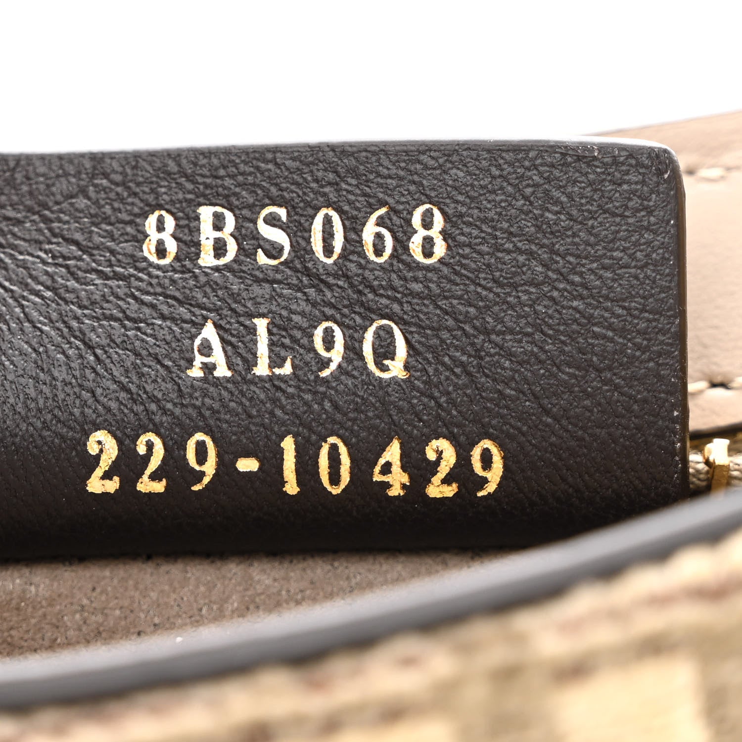 Fendi Chenille Vitello King Plexiglass FF O'Lock Swing Tortora Nuvola 7 of 12