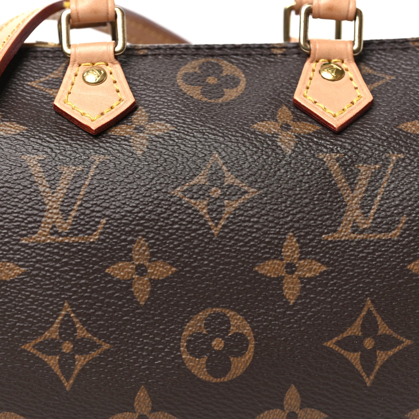 Monogram Nano Speedy